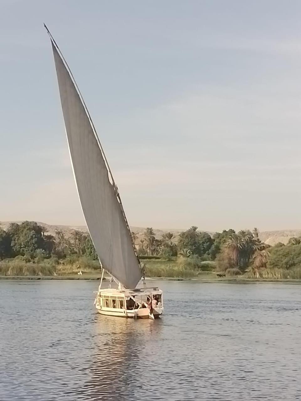 Nile Felucca Adventure 호텔 아스완 외부 사진